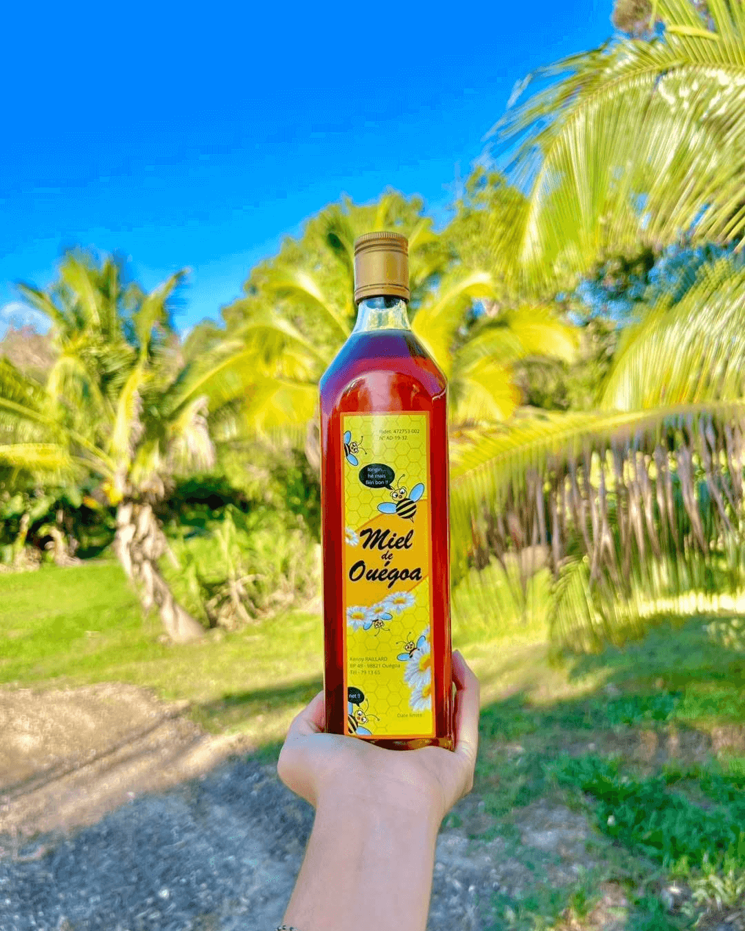 Pot de miel artisanal Miel de Ouégoa